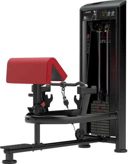 Atlantis Precision Standing Bicep Curl